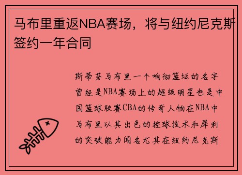 马布里重返NBA赛场，将与纽约尼克斯签约一年合同